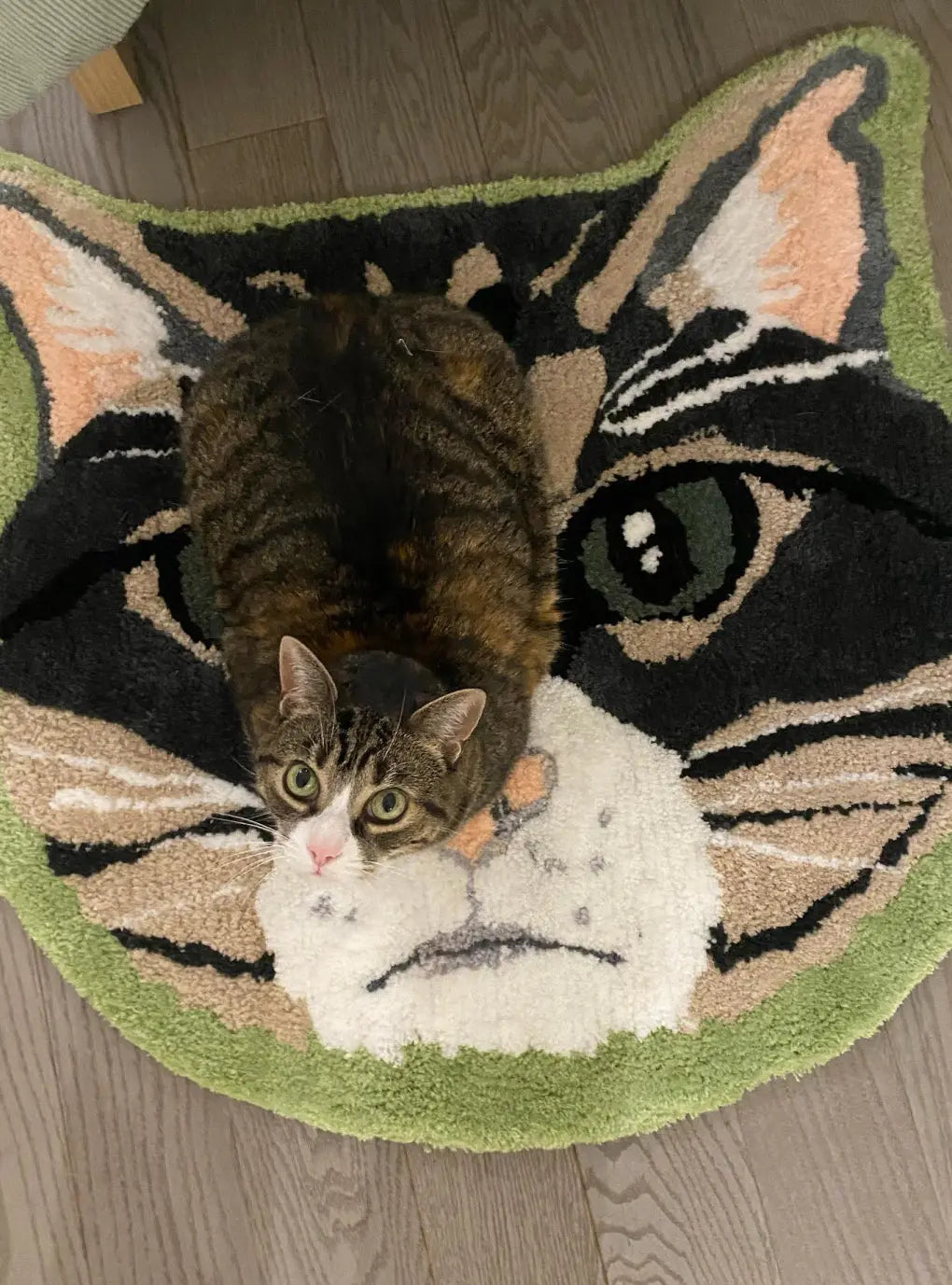 Tuft a Rug of Your Cat—for Your Cat Reality